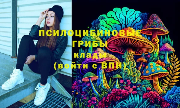 хмурый Алексеевка