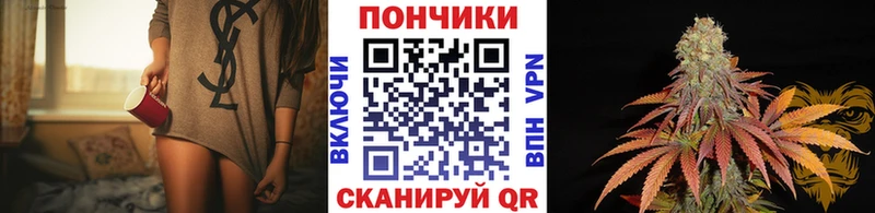 Конопля ГИДРОПОН  MEGA ТОР  Злынка  наркошоп 